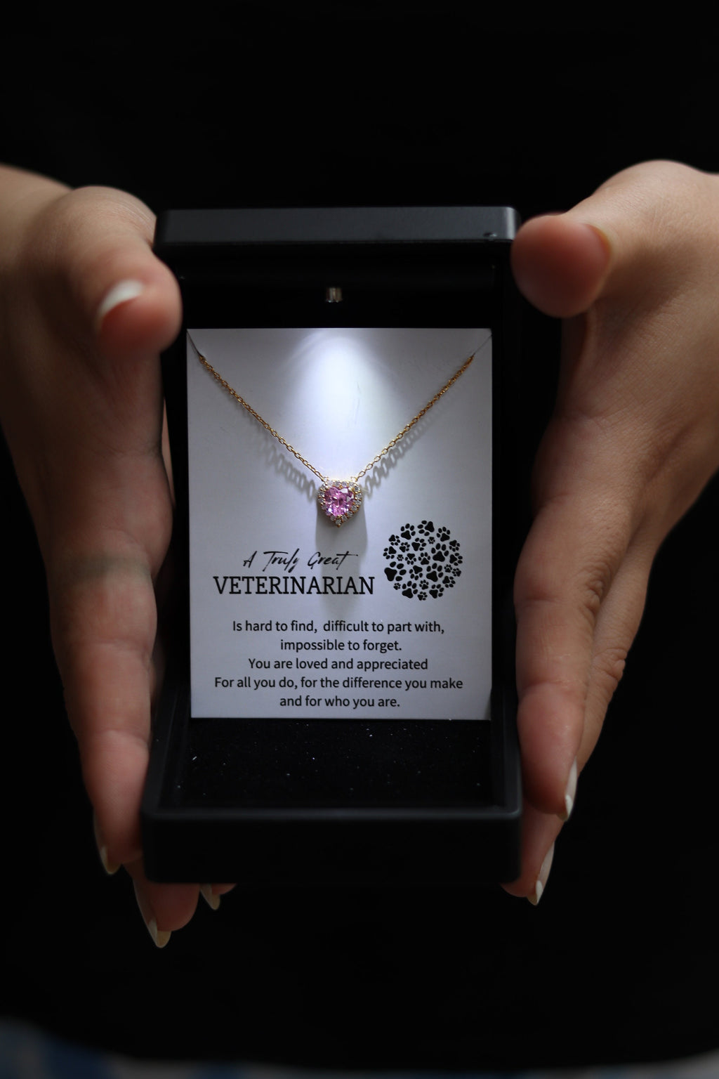 Veterinarian Necklace Gift, Vet School Graduation Gift, Veterinarian Doctor Gift, Animal Doctor Gift, Heart Necklace with Quartz,