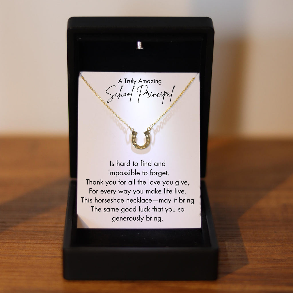 School Principal Silver Luck Necklace, Personalized Principal Gift with Led Light Box, School Principal Appreciation Thank You Gift-