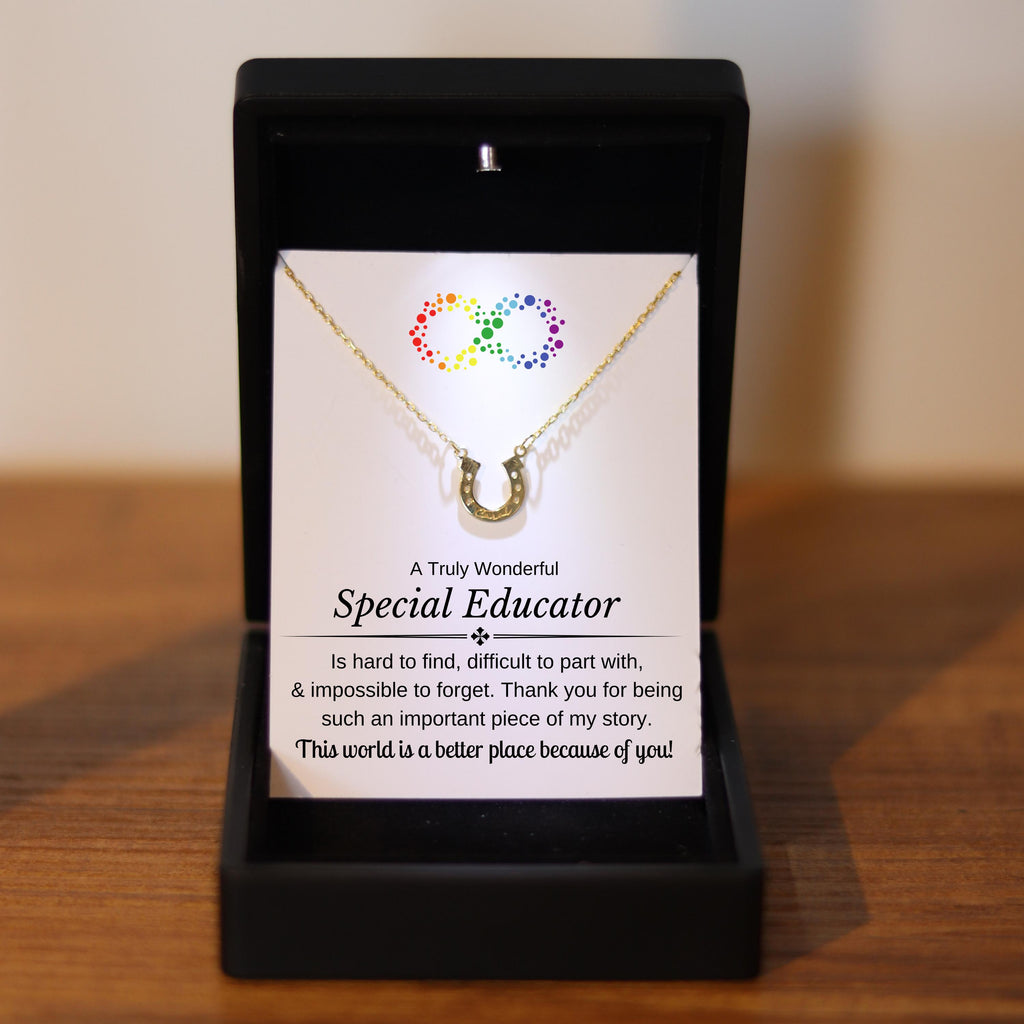 Unique Special Educator Luck Necklace, Autism Teacher Gift, Daycare Director Thank You Gift, Special Needs Educator Christmas Lucky Charm