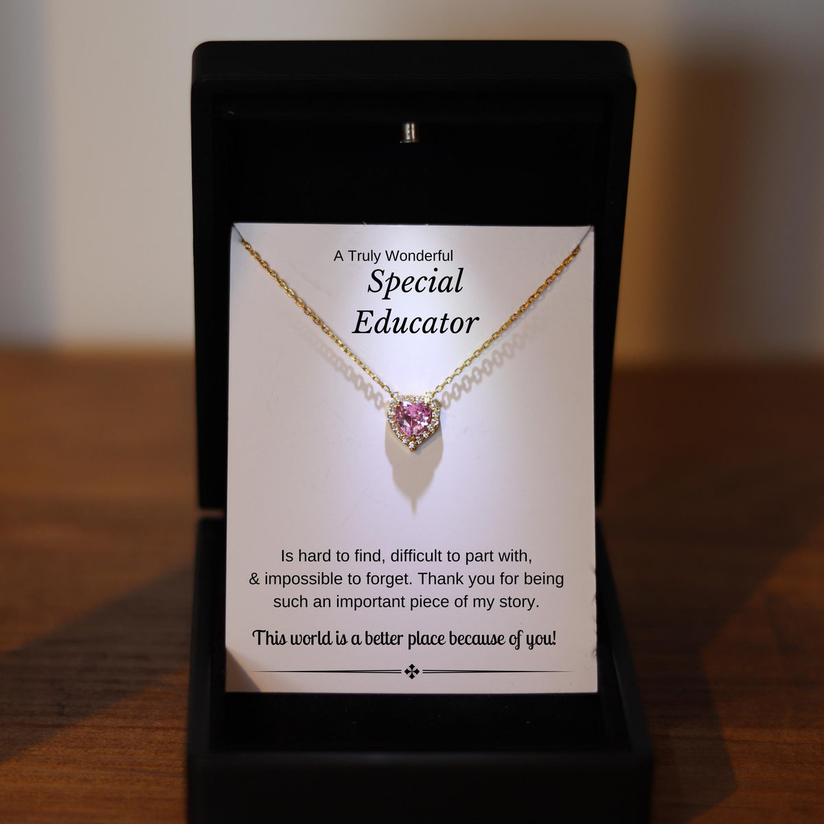 Special Educator Silver Heart Necklace with LedBox, Special Needs Teacher Autism Necklace,  Autism Teacher Gifts, Daycare Provider Jewelry